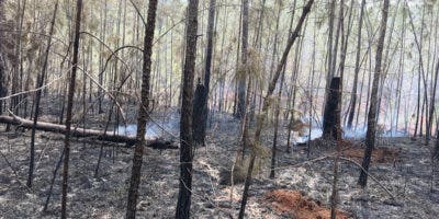 Controlan incendio que afectó bosques en la Sierra de Bahoruco