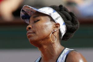 Venus Williams «destrozada» por accidente mortal en que está involucrada