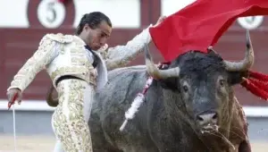 Fallece a los 68 años el torero español Dámaso González