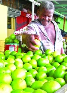 RD produce cerca de 500 millones limones