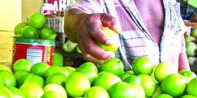 RD produce cerca de 500 millones limones