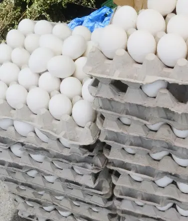 Mercado local no  tiene huevos contaminados
