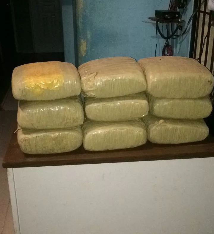 DNCD decomisa 92 libras de marihuana y 9 kilos de cocaína, apresa tres hombres