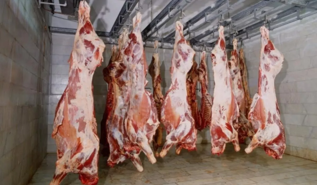 Ganaderos listos para exportar carne a EU