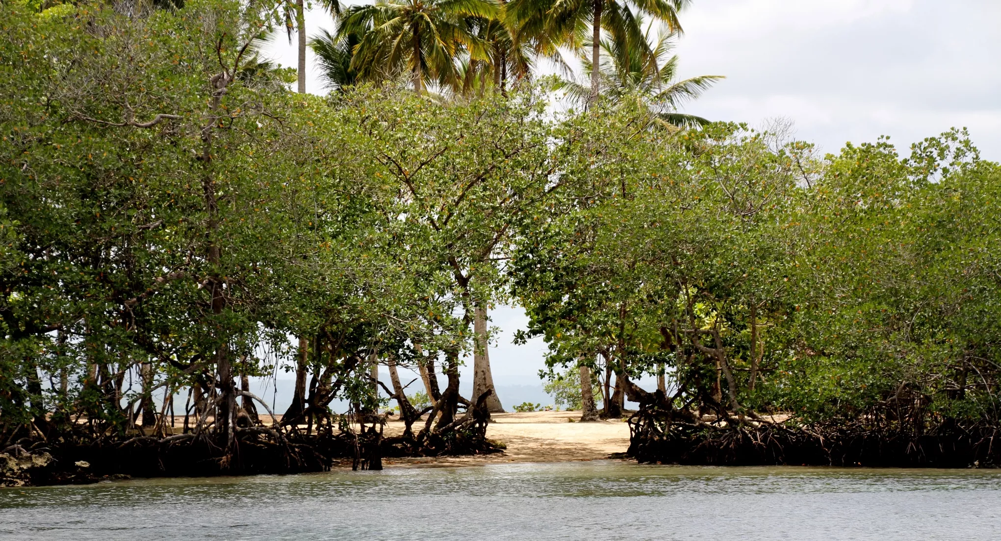 Los tesoros escondidos de Río San Juan