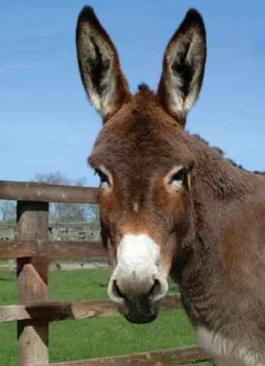 30_cartelera_11_1p01