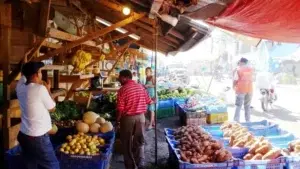 Suben precio del ajo, plátanos, habichuelas y otros alimentos de origen agropecuario