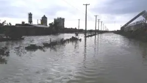 Denuncian cancelación de joven que subió a las redes fotos de inundación en Punta Catalina