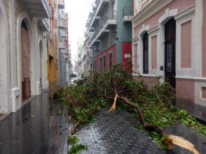 Saqueos en establecimientos afectados por María en Puerto Rico