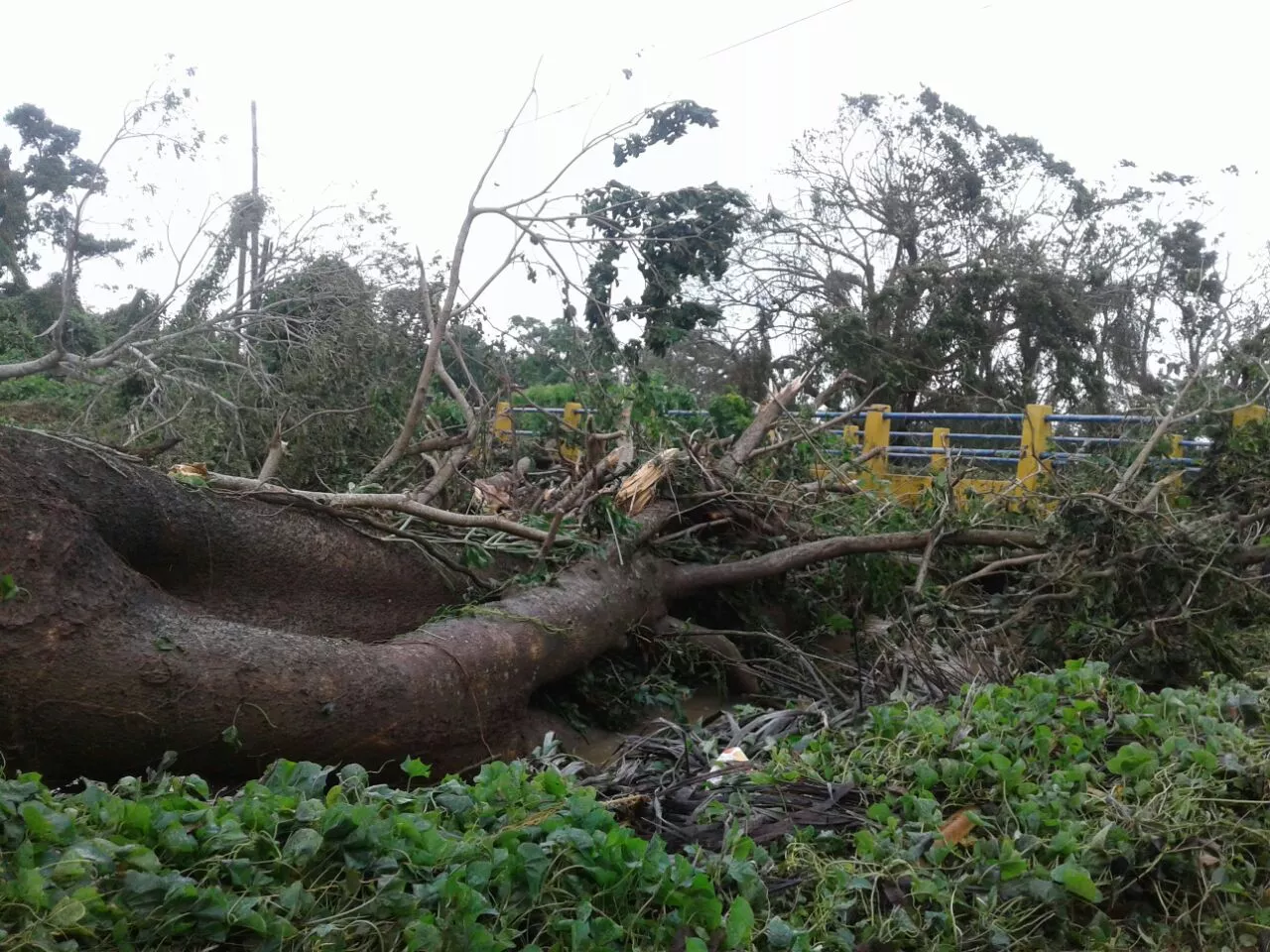 Residentes en el Este mantienen el temor por las lluvias dejadas huracán María