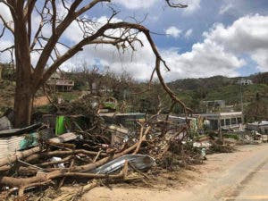 Destrozos sufridos por la granja de Héctor Alejandro Santiago en Barranquitas, Puerto Rico, tras el paso del huracán María. La tormenta destruyó totalmente la operación, que llevaba 21 años, pero Santiago se propone reanudarla. (Héctor Alejandro Santiago via AP)