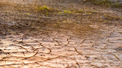Banco Mundial: Las sequías impiden alimentarse a 81 millones de personas en el mundo