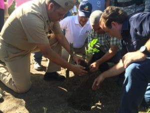 Medio Ambiente inicia recuperación forestal de la Bahía de Luperón