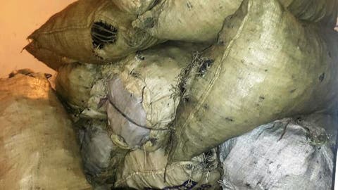 Autoridades se incautan sacos de carbón vegetal y armas durante operativos en Puerto Plata