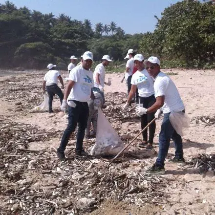 TDC planta dos mil árboles de caoba y limpia playa en jornada ambiental de SC