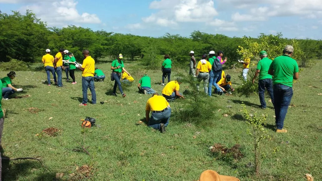 Cientos de voluntarios se suman a jornadas de reforestación