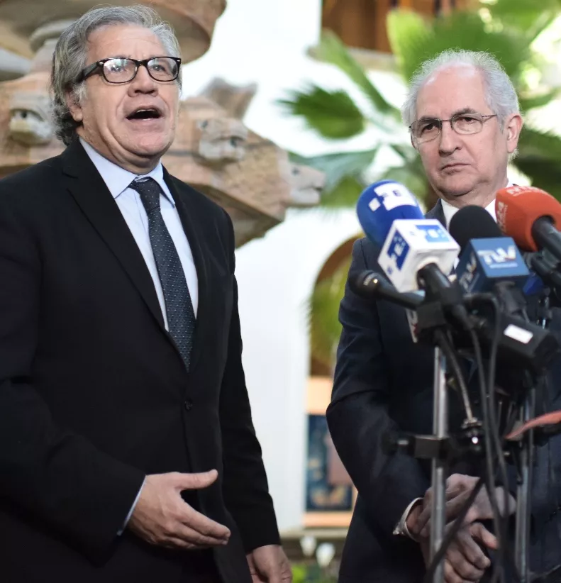 US-OAS-VENEZUELA-OPPOSITION-LEDESMA