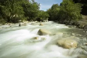 Fundación Sur Futuro entregará Premio Ecológico a la Siembra de Agua