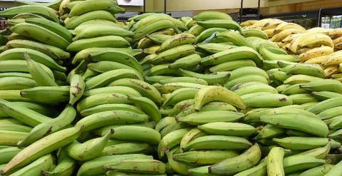 Precio del plátano seguirá  alto en 2018