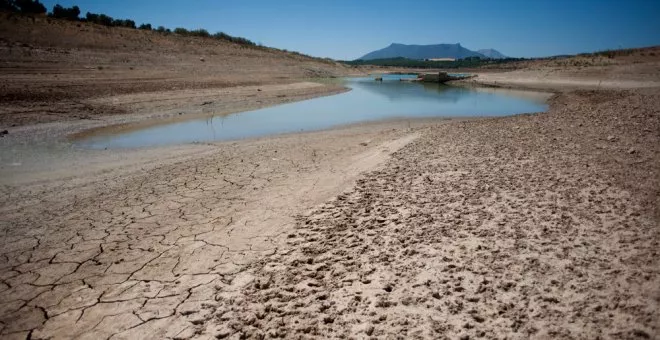 Conflictos y sequía generan más hambre en el mundo, afirma la FAO