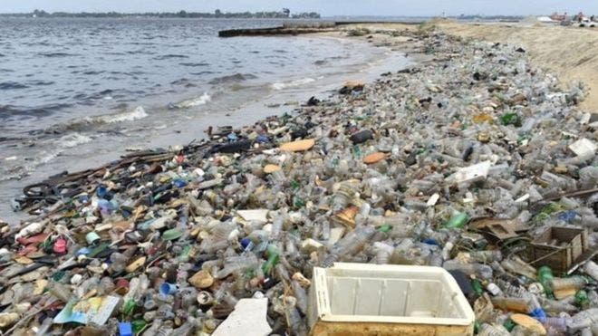 Una crisis planetaria: las terribles consecuencias de la “plaga de plástico” en los océanos del mundo
