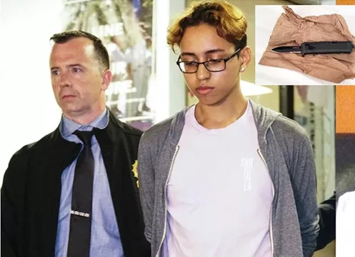 liberan-estudiante-criollo-mato-e-hirio-companeros-en-escuela-del-bronx