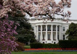 Melania Trump ordena la retirada de una histórica magnolia de la Casa Blanca