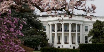 Melania Trump ordena la retirada de una histórica magnolia de la Casa Blanca