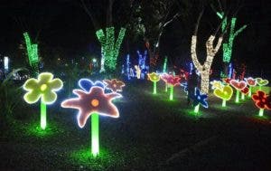 Más de 40 mil personas han visitado el parque de luces “Vive la Navidad”