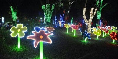 Más de 40 mil personas han visitado el parque de luces “Vive la Navidad”