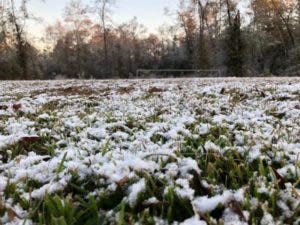 La ola de frío en Florida se siente en Miami con una mínima de 8,8 grados