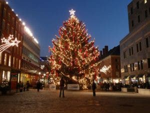 El árbol de Navidad, más que un adorno, un alivio para el medioambiente