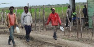 La agricultura y crianza de animales es la principal actividad a la que se dedican los inmigrantes.