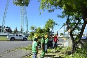 Dirección de Embellecimiento ejecuta operativo de limpieza en carreteras