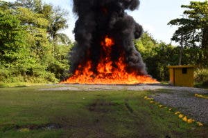 Procuraduría incinera más de 100 kilogramos de distintas drogas