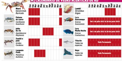 Las vedas garantizan conservación de las especies