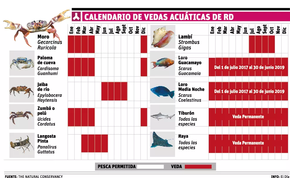 Las vedas garantizan conservación de las especies