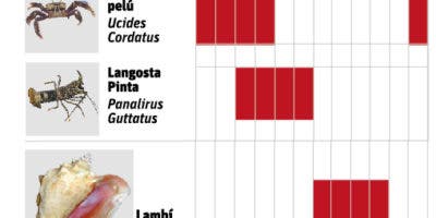 Ventajas de conocer  las vedas de las especies