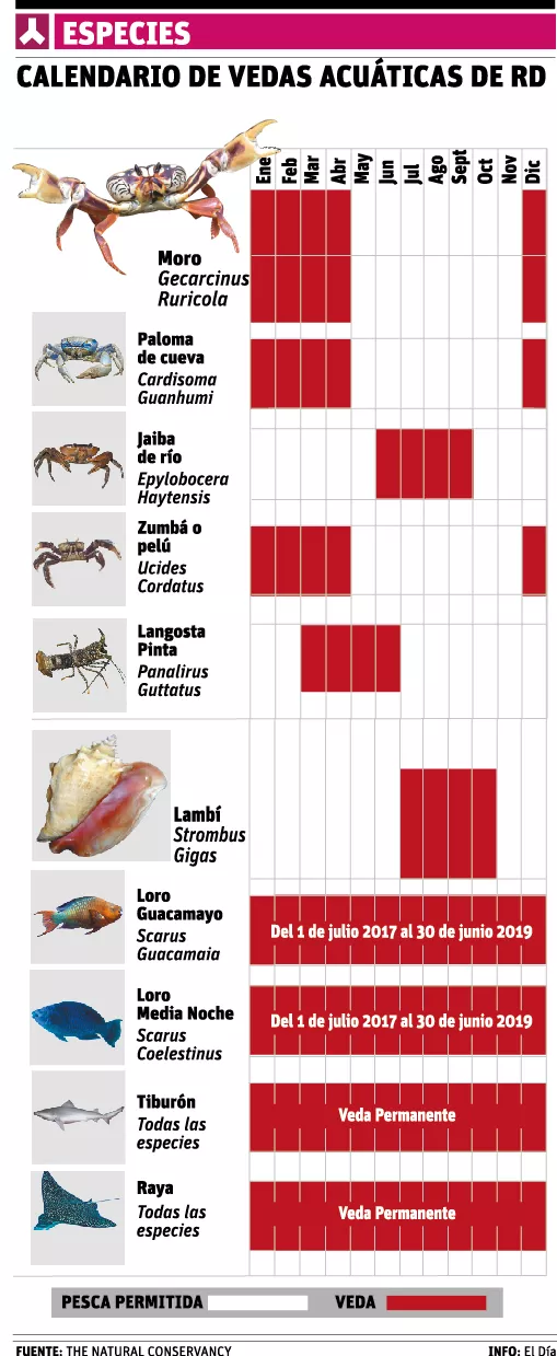 Ventajas de conocer  las vedas de las especies