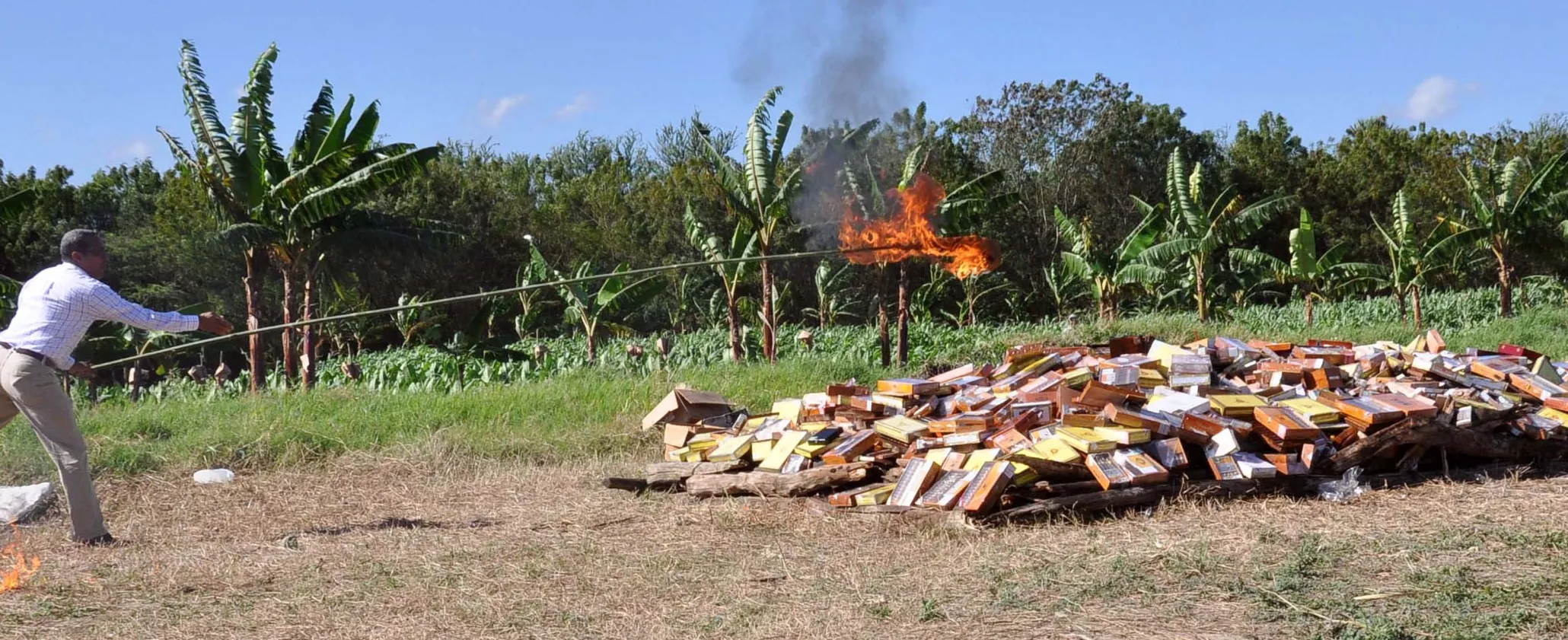 El fisco deja de percibir US$250 millones contrabando de tabaco