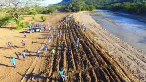 Reforesta cuenca del río Bajabonico en parte oeste de Puerto Plata