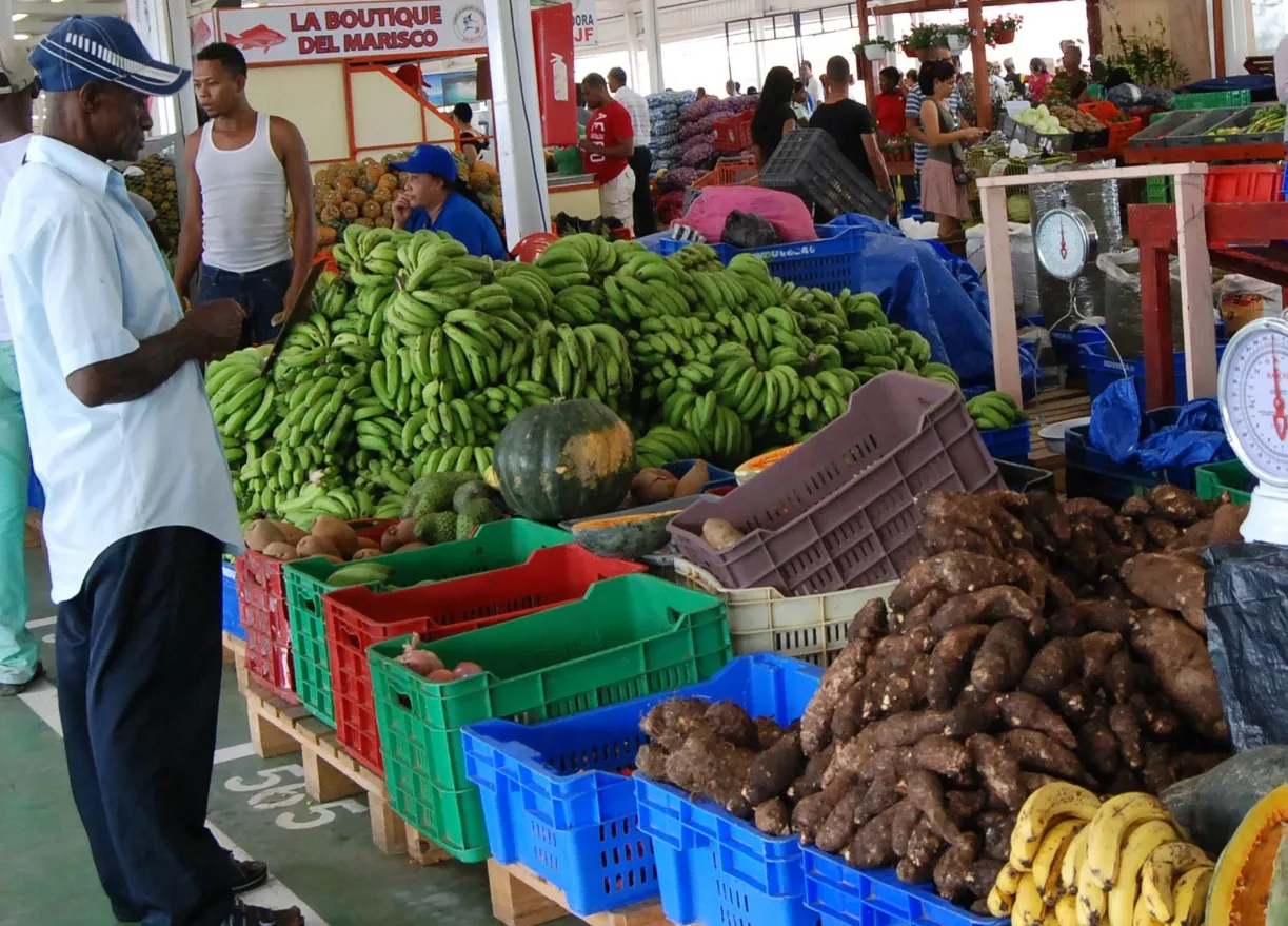 Consumidores ahorran más de 30 % en Merca