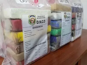 DNCD decomisa 37 paquetes de cocaína en el Distrito Nacional