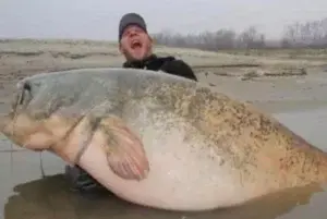 Pescó un pez ‘monstruo’ que pesa 248 libras