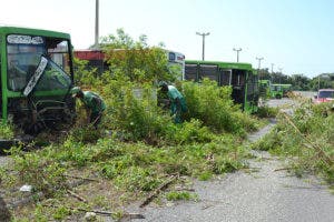 Embellecimiento interviene varias autopistas del país