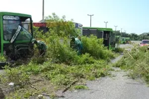 Embellecimiento interviene varias autopistas del país