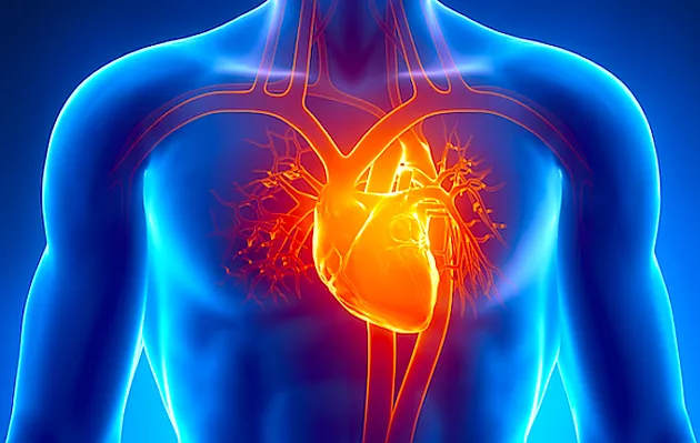 Patologías cardiovasculares pueden aumentar en Semana Santa