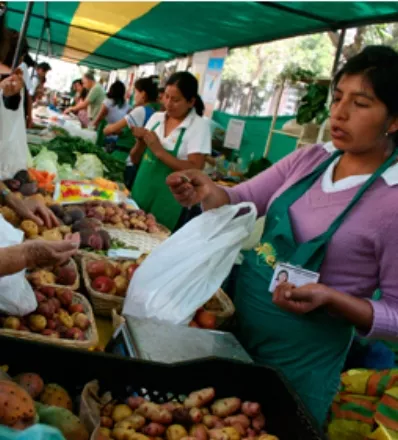 La informalidad en el mundo peor que en República Dominicana