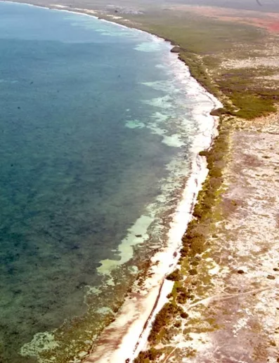 Juristas apelarán fallo sobre Bahía las Águilas