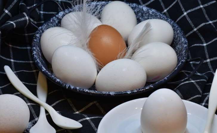 Cómo saber si un huevo está caducado